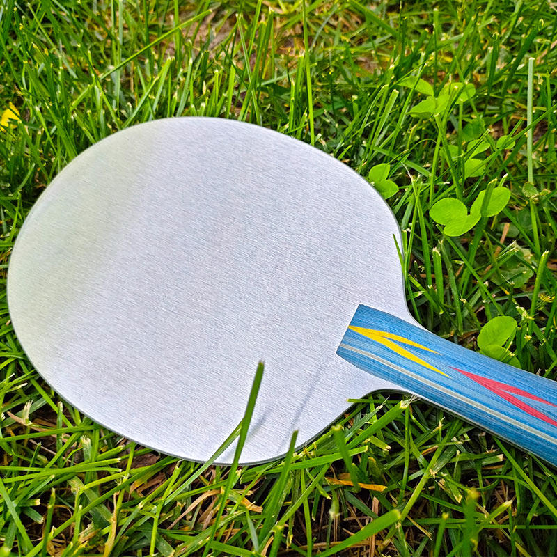 مضرب تنس طاولة من سبائك الألوم - مراجعة Allsports Equipment وسعره